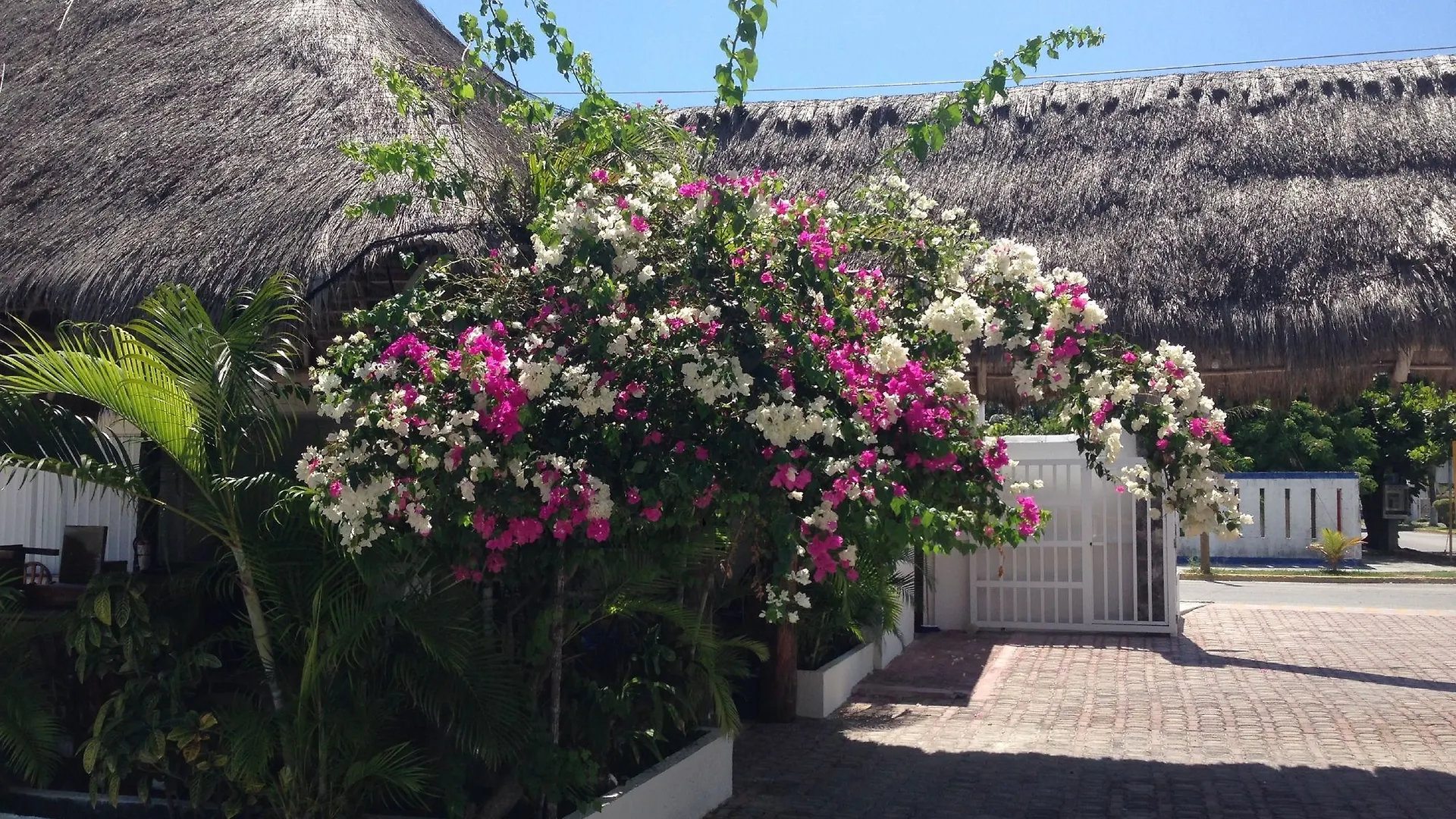 Hotel Dos Naciones Puerto Morelos Mexico